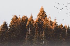 image from Más allá del rendimiento