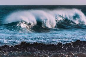 image from Normalmente exagerado